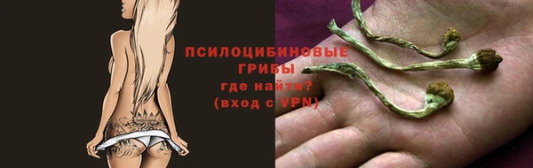 дурь Горняк