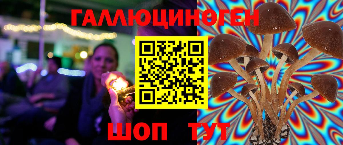 дарнет шоп  Вход с VPN  Псилоцибиновые грибы Cubensis  Кириши  Галлюциногенные грибы мицелий 