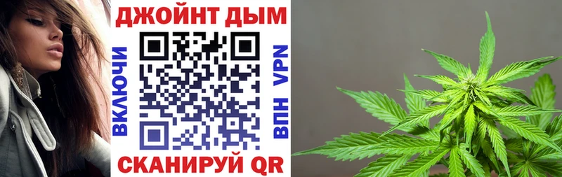 Канабис сатива  продажа наркотиков  darknet как зайти  Кириши 