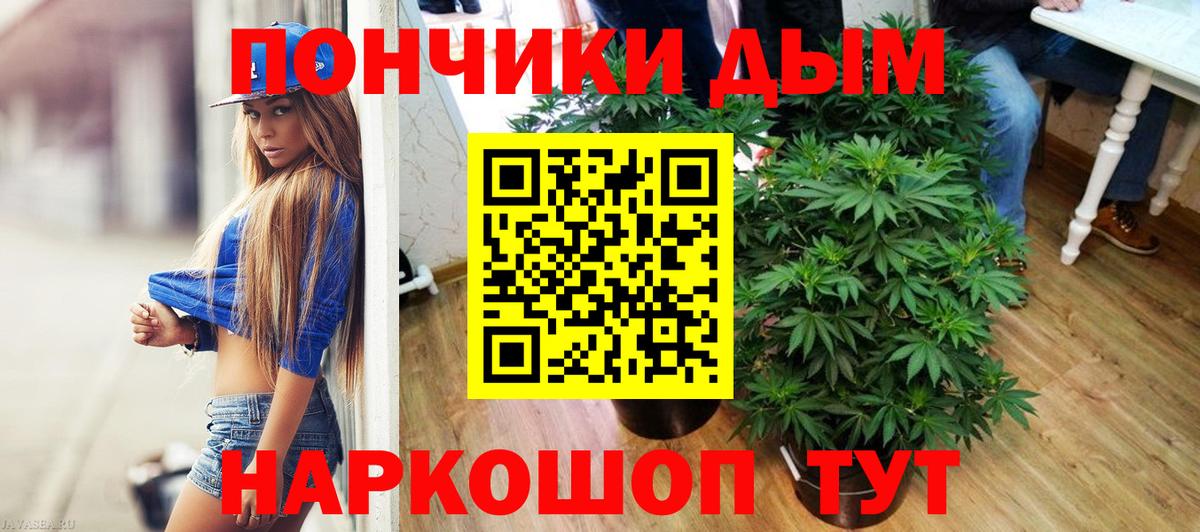 Шишки марихуана сатива Кириши